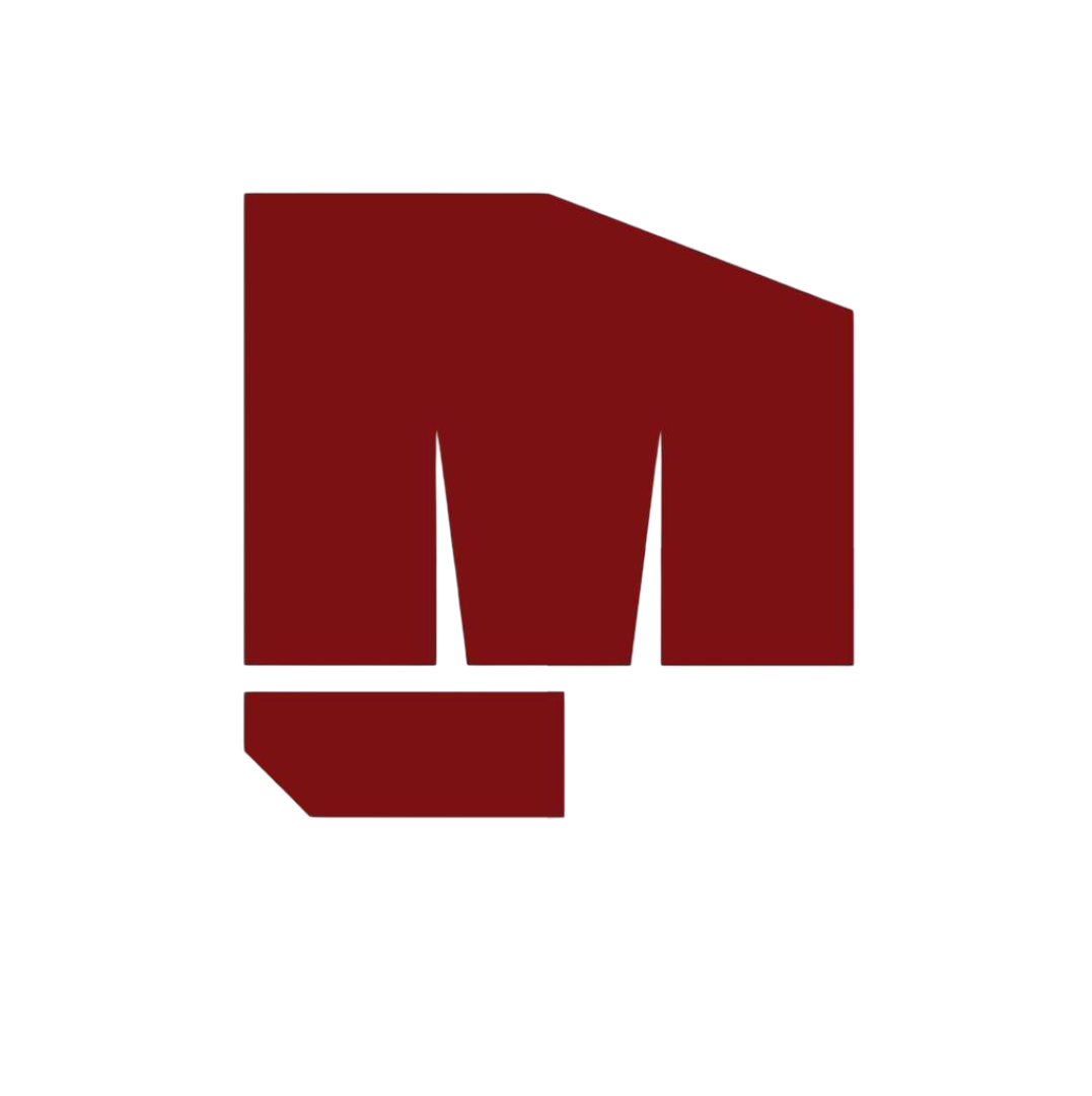 UP Fighting Maroons MFist