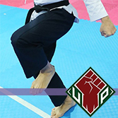 UP Taekwondo Poomsae icon